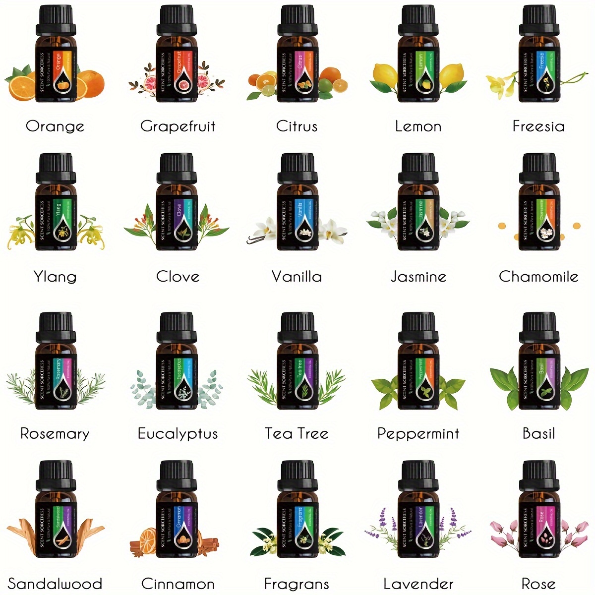 20 sztuk/zestaw Klasyczny Zest – Perfume Fragrance Kit recenzja i cena